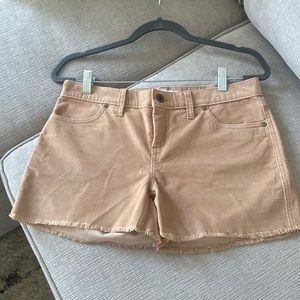 Carve 4 inch Oahu short